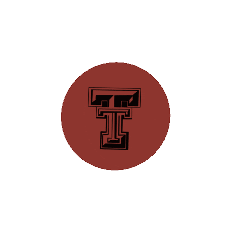 TTU DDEI Sticker