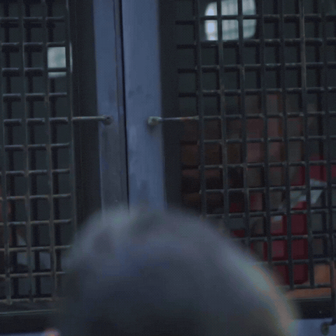 Rojbinerden GIF