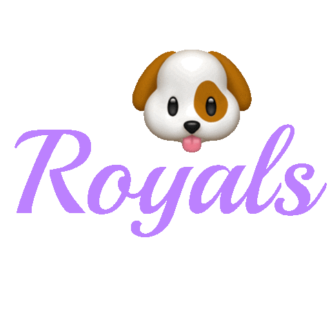 Sticker by Royals Cheer Uk