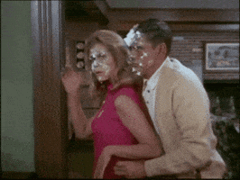 Pies GIF