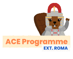 Roma Sticker by Kase Travel