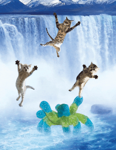 cats candy GIF by Trolli