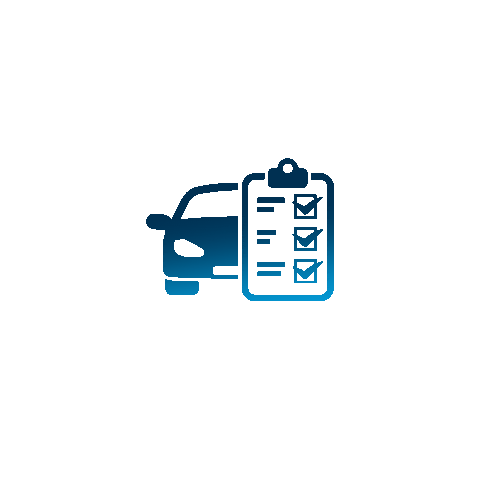 Guaibacarrs Sticker