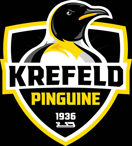 Del Schwarzgelb GIF by Krefeld Pinguine