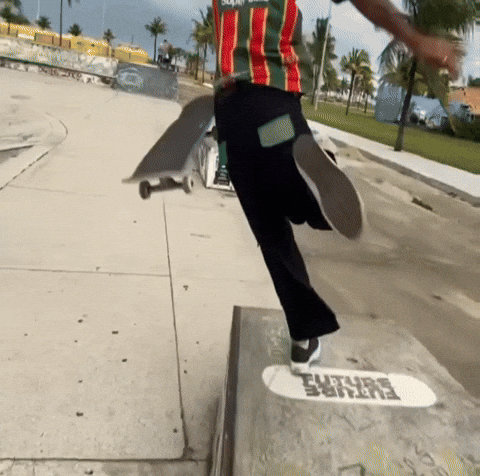 Skate Brazil GIF by EsZ  Giphy World