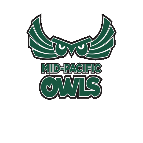 Owls Sticker by Mid-Pacific