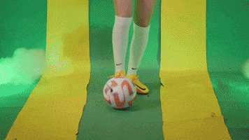 Soccer Goal GIF by NDSU Athletics