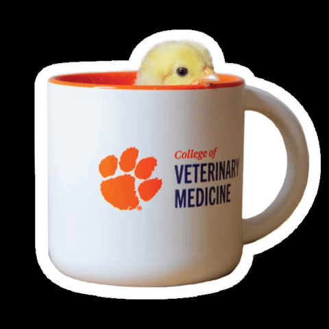 Clemson University Sc GIF by Clemson Vet Med
