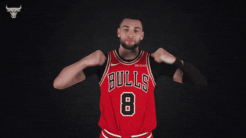 Zach Lavine No GIF by Chicago Bulls