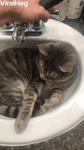Video gif. Cat lays in a bathroom sink. A hand turns on the faucet and the cat lays there, letting the water run on his back. The cat just looks around, a bit confused.