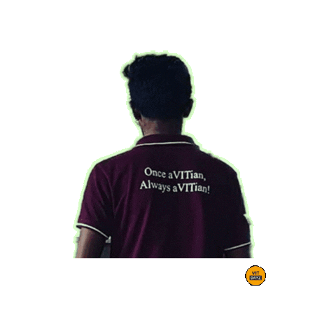 VitDayz Sticker