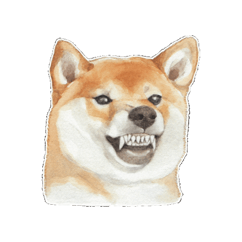 Shiba Inu Doge Sticker