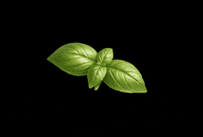 chiron-naturdelikatessen GIF