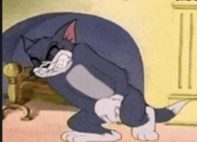 ميمز GIF