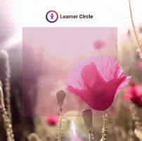 Morning Happen GIF by Learner Circle