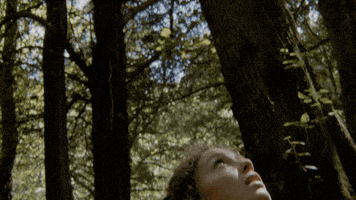 Sky Look Up GIF by Zella Day