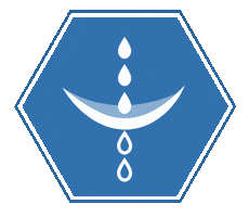 Qblue Solutions Sticker