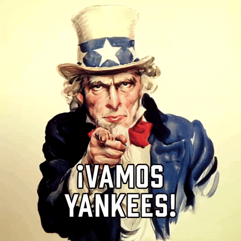 New York Yankees GIF by Sealed With A GIF