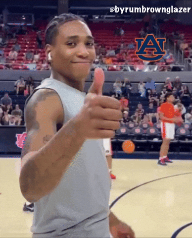 Auburn Tigers GIF