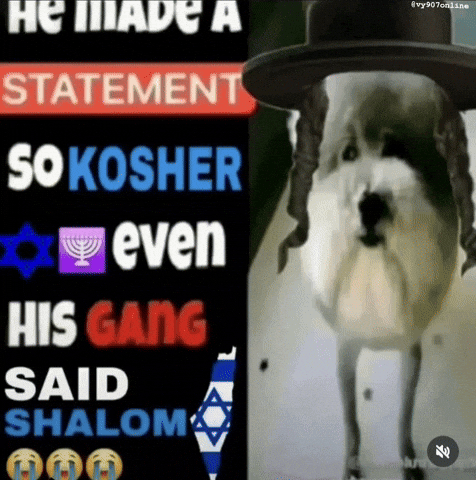 6 7 Dog GIF