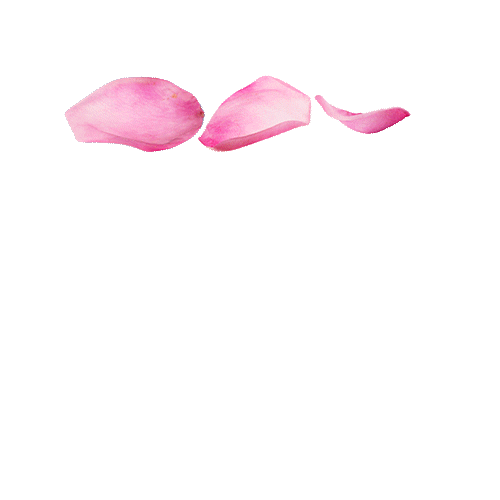 Fall Effects Sticker by Jurlique