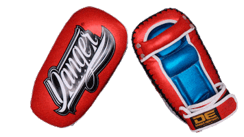 Boxing Danger Sticker by Danger-equipment