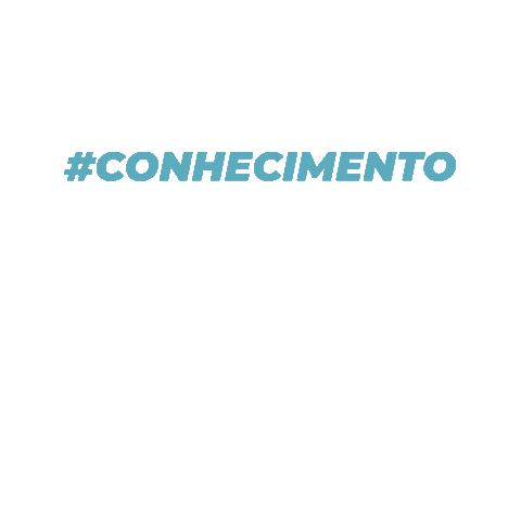 Vectis Desenvolvimento Sticker