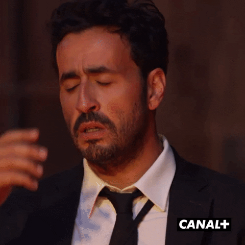 Fun Lol GIF by CANAL+ - Find & Share on GIPHY