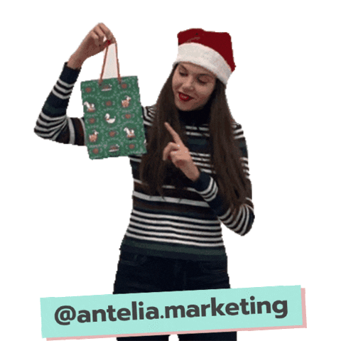 Christmas Noel Sticker by AnteliaMarketing