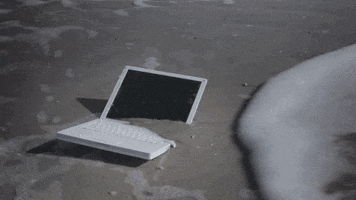 anerkjendt GIF