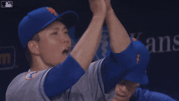 Happy Ny Mets GIF by New York Mets