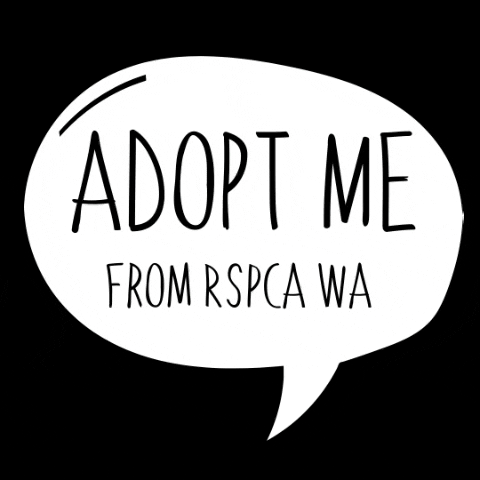 RSPCA WA GIF