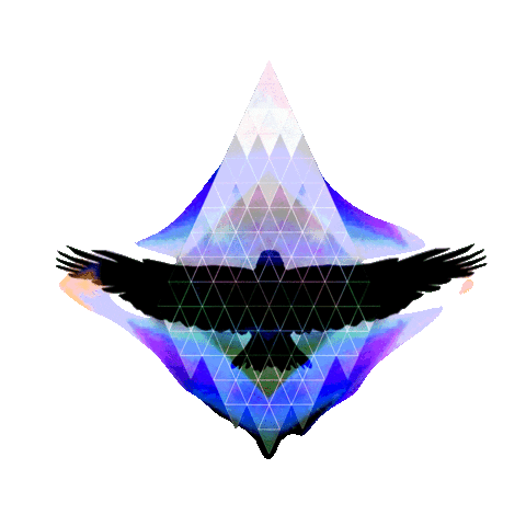 Festival Utah Sticker by pleasedonttrip