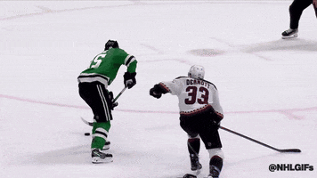 Stanley Cup Playoffs Goal GIF by NHL