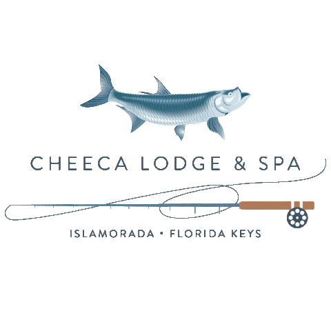 Tarpon Staycheeca Sticker