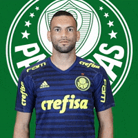 Palmeiras Não GIF - Palmeiras Não Tem - Discover & Share GIFs