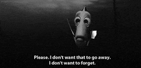 Cartoon gif. Dory in Finding Nemo has a sad expression on her face as she says, “Please. I don’t want that to go away. I don’t want to forget.”
