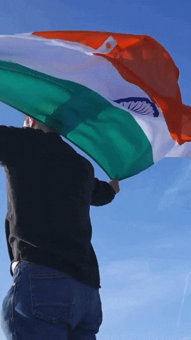 Flag GIF