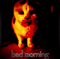 Sad Good Morning GIF