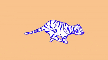 tiger running GIF by Portugal. The Man