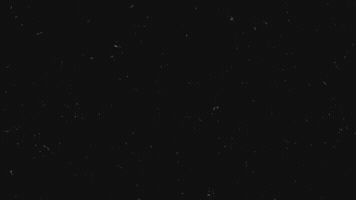 Ai GIF