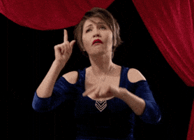 Asl No GIF