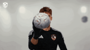 Fb Gs GIF