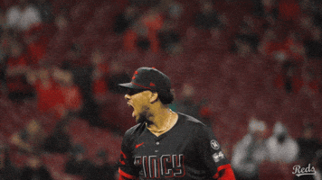 Celebration Baseball GIF by Cincinnati Reds