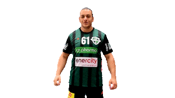 Sport Handball Sticker by DIE RECKEN