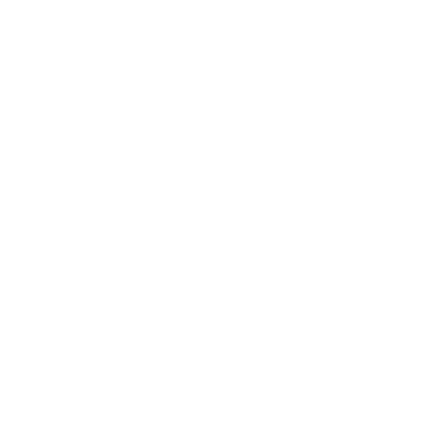 Flyeo Sticker
