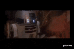 Celebration GIF