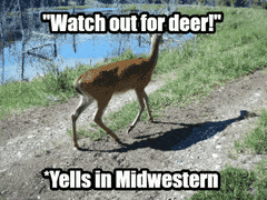 Midwestern meme gif