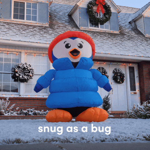 Snug As A Bug GIF by Wayfair