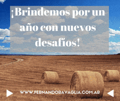 jorgeghigo  GIF